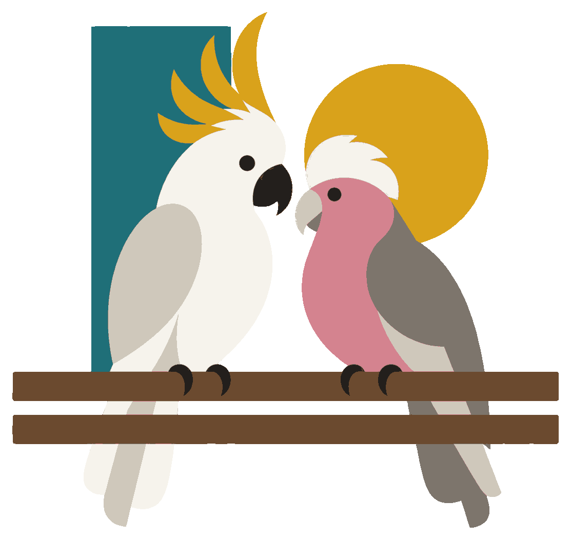 「==」の形の枝に並んで止まるキバタンとモモイロインコ